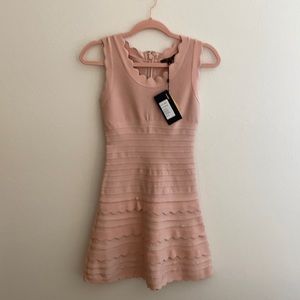 Pink fitted scallop detail dress